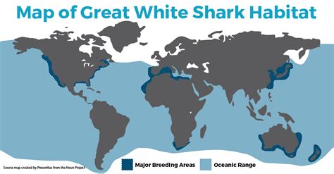 great white location map.